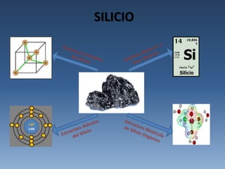 SILICIO 
 