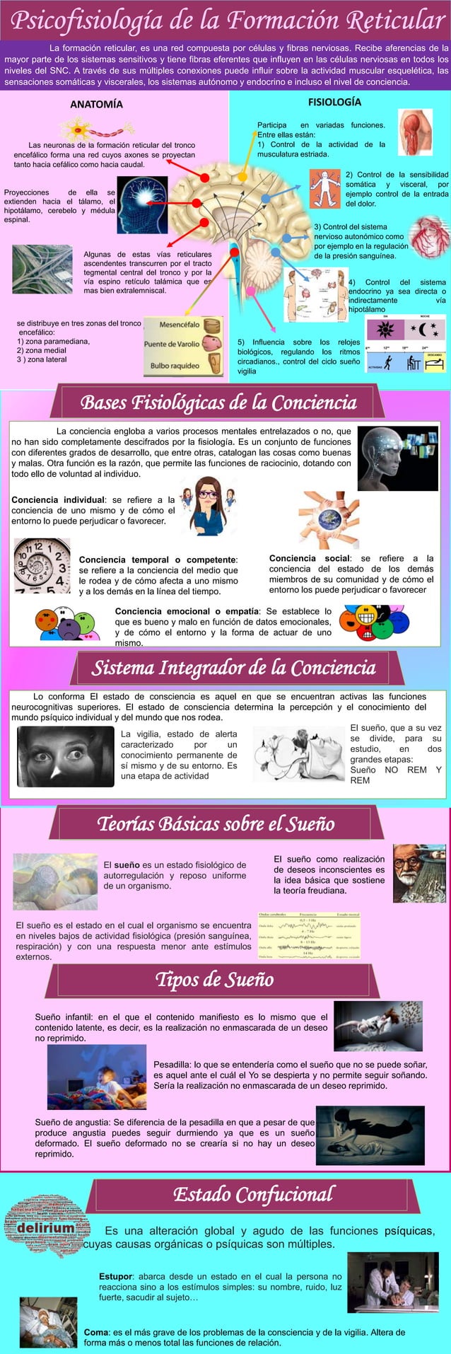 Infografia Pdf Descarga Gratuita