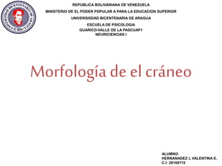 REPUBLICA BOLIVARIANA DE VENEZUELA
MINISTERIO DE EL PODER POPULAR A PARA LA EDUCACION SUPERIOR
UNIVERSISDAD BICENTENARIA DE ARAGUA
ESCUELA DE PSICOLOGIA
GUARICO-VALLE DE LA PASCUAP1
NEURICIENCIAS I
ALUMNO:
HERNANADEZ L VALENTINA E.
C.I: 28169715
Morfología de el cráneo
 