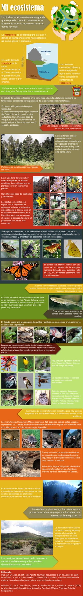 Infografia ecosistema-estado-de-mexico montserrat-gonzalez