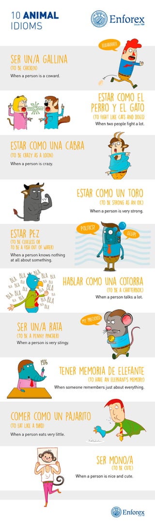 10 Animal Idioms