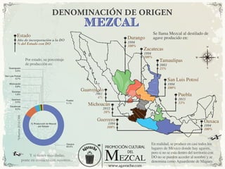 En realidad, se produce en casi todos los
lugares de México donde hay agaves,
pero si no se esta dentro del territorio con
DO no se pueden acceder al nombre y se
denomina como Aguardiente de Maguey.
Por estado, su porcentaje
de producción es:
Y si tienes más dudas,
ponte en contacto con nosotros...
Se llama Mezcal al destilado de
agave producido en:
*Informe2016CRM
MR
1994
100%
Oaxaca
2001
4%
Guanajuato
2012
26%
Michoacán
1994
100%
Guerrero
Durango
1994
100%
Zacatecas
1994
100%
Tamaulipas
2003
25%
Estado
Año de incorporación a la DO
% del Estado con DO
San Luis Potosí
1994
100%
Puebla
2015
53%
MEZCAL
DENOMINACIÓN DE ORIGEN
% Producción de Mezcal
por Estado
Puebla
0.1%
Guanajuato
0.5%
San Luis Potosí
0.7%
Michoacán
0.8%
Durango
1.6%
Guerrero
3.5%
Zacatecas
9.3%
Oaxaca
83.5%
 