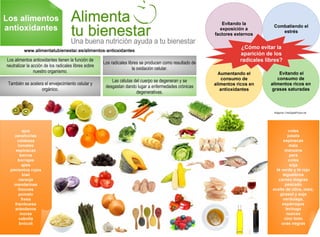 Infografía Alimentos antoxidantes