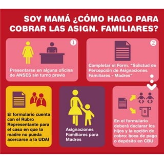 Infografia Anses