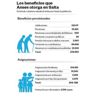 Infografia Anses