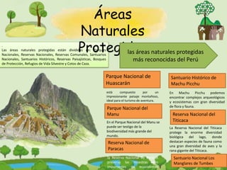 Santuario Histórico de
Machu Picchu
Reserva Nacional del
Titicaca
Parque Nacional del
Manu
Reserva Nacional de
Paracas
.
Las áreas naturales protegidas están divididas en: Parques
Nacionales, Reservas Nacionales, Reservas Comunales, Santuarios
Nacionales, Santuarios Históricos, Reservas Paisajísticas, Bosques
de Protección, Refugios de Vida Silvestre y Cotos de Caza.
Áreas
Naturales
Protegidas
las áreas naturales protegidas
más reconocidas del Perú
Parque Nacional de
Huascarán
está compuesto por un
impresionante paisaje montañoso,
ideal para el turismo de aventura.
En el Parque Nacional del Manu se
puede ser testigo de la
biodiversidad más grande del
mundo.
En Machu Picchu podemos
encontrar complejos arqueológicos
y ecosistemas con gran diversidad
de flora y fauna.
La Reserva Nacional del Titicaca
protege la enorme diversidad
biológica del lago, donde
destacan especies de fauna como
una gran diversidad de aves y la
rana gigante del Titicaca.
la Reserva Nacional de Paracas
preserva las muestras más
importantes de ecosistemas
Santuario Nacional Los
Manglares de Tumbes
 
