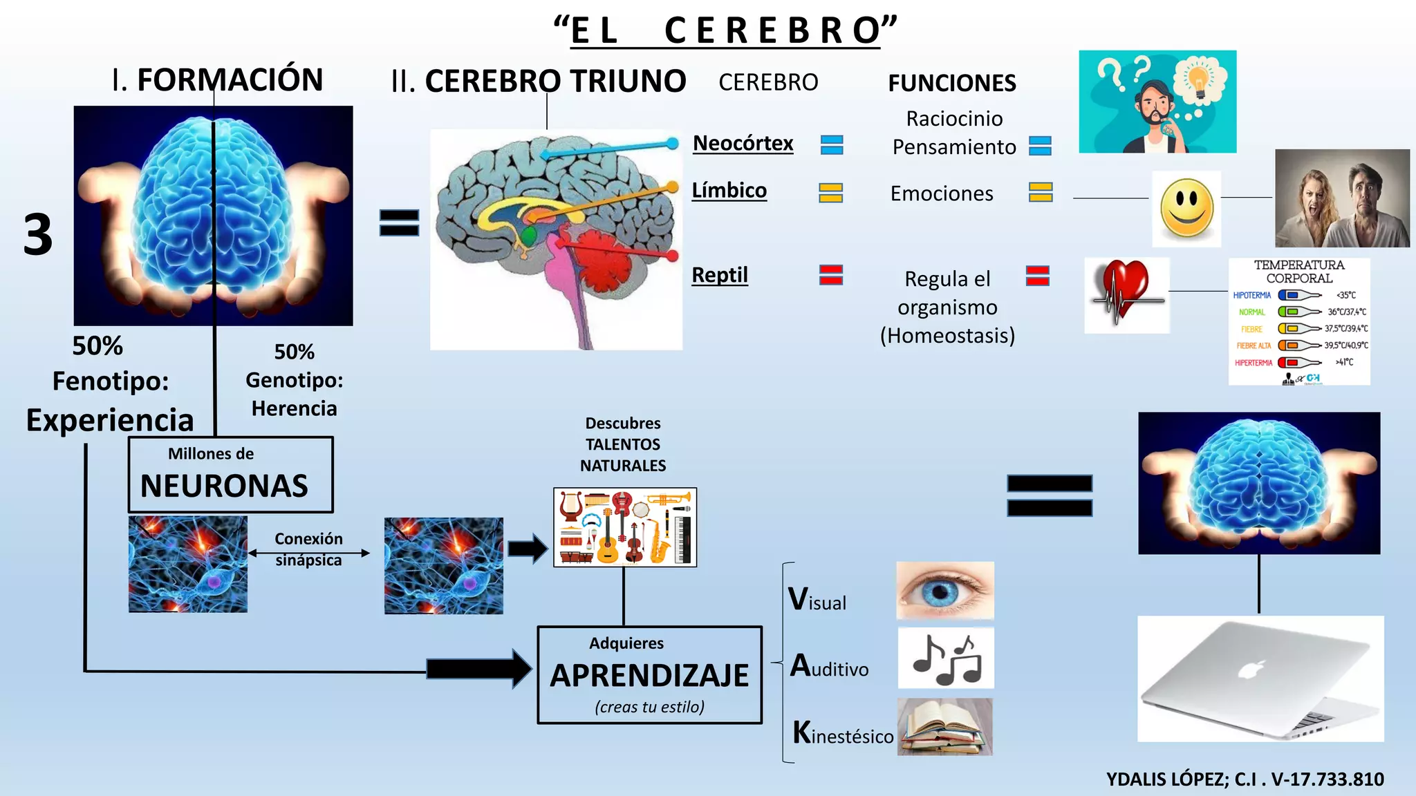 INFOGRAFIA El CEREBRO. pdf | PPT