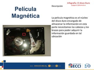 Infografía: El disco Duro 
jorgegom11@hotmail.es 
Película 
Magnética 
Descripción 
La película magnética es el núcleo 
del disco duro encargado de 
almacenar la información en esta 
parte necesitamos las cabezas y los 
brazos para poder adquirir la 
información guardada en tal 
ubicación 
 