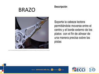 BRAZO
Descripción
Soporta la cabeza lectora
permitiéndole moverse entre el
centro y el borde externo de los
platos con el fin de alinear de
una manera precisa sobre las
pistas
http://us.123rf.com/400wm/400/400/CraigPJ/CraigPJ0706/CraigPJ070600038/997063-macro-tirada-del-brazo-de-actuador-y-de-los-discos-de-una-impulsi-n-de-disco-duro-moderna.jpg
 