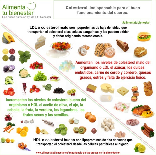 Infografía El colesterol