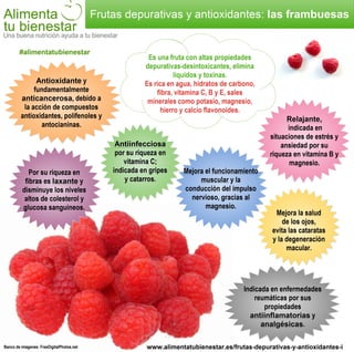 Infografia Frutas depurativas y antioxidantes: las frambuesas