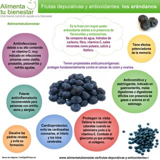 Infografia Frutas depurativas y antioxidantes: los arandanos
