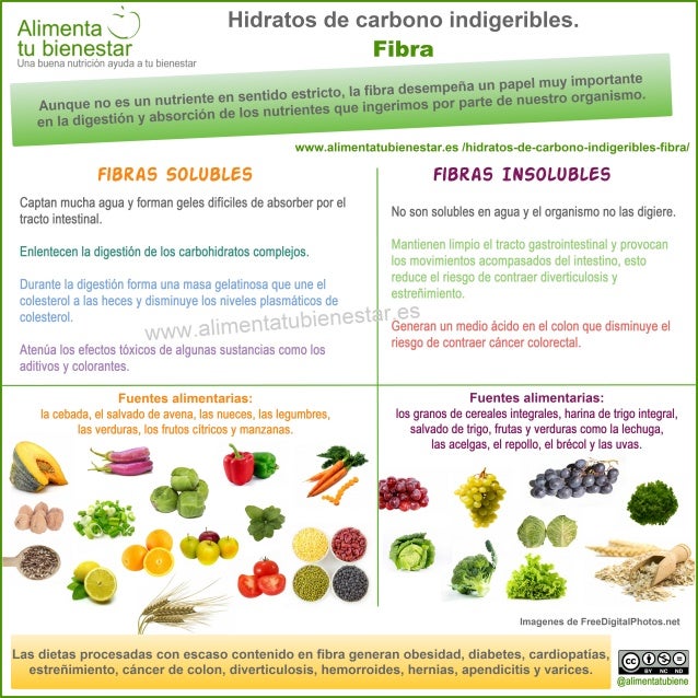 alimentos sin hidratos de carbono infograf 237 a hidratos de carbono indigeribles la fibra alimentos sin hidratos de carbono infograf 237 a hidratos de carbono indigeribles la fibra