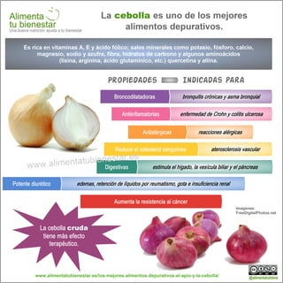 Infografia La cebolla uno de los mejores alimentos depurativos