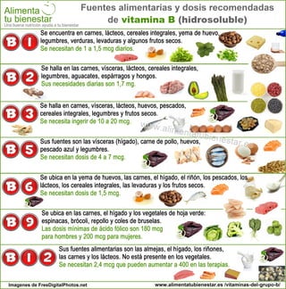 Infografía La vitamina B