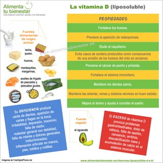 Infografía La vitamina D
