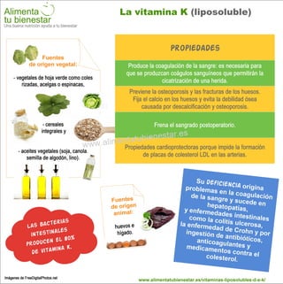 Infografía La vitamina K