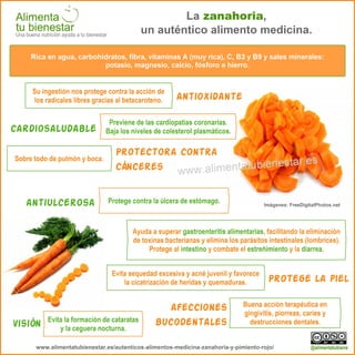 Infografia La zanahoria autentico alimento medicina