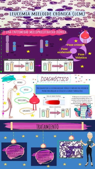 Infografia lmc