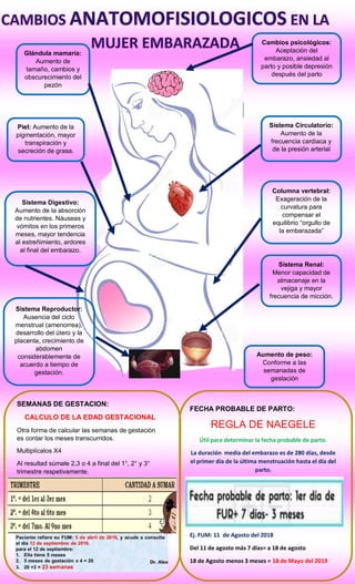 Glándula mamaria:
Aumento de
tamaño, cambios y
obscurecimiento del
pezón
Piel: Aumento de la
pigmentación, mayor
transpiración y
secreción de grasa.
Sistema Digestivo:
Aumento de la absorción
de nutrientes. Náuseas y
vómitos en los primeros
meses, mayor tendencia
al estreñimiento, ardores
al final del embarazo.
Sistema Reproductor:
Ausencia del ciclo
menstrual (amenorrea),
desarrollo del útero y la
placenta, crecimiento de
abdomen
considerablemente de
acuerdo a tiempo de
gestación.
Cambios psicológicos:
Aceptación del
embarazo, ansiedad al
parto y posible depresión
después del parto
Sistema Circulatorio:
Aumento de la
frecuencia cardiaca y
de la presión arterial
Columna vertebral:
Exageración de la
curvatura para
compensar el
equilibrio “orgullo de
la embarazada”
Sistema Renal:
Menor capacidad de
almacenaje en la
vejiga y mayor
frecuencia de micción.
Aumento de peso:
Conforme a las
semanadas de
gestación
SEMANAS DE GESTACION:
CALCULO DE LA EDAD GESTACIONAL
Otra forma de calcular las semanas de gestación
es contar los meses transcurridos.
Multiplícalos X4
Al resultad súmale 2,3 o 4 a final del 1°, 2° y 3°
trimestre respetivamente.
FECHA PROBABLE DE PARTO:
REGLA DE NAEGELE
Útil para determinar la fecha probable de parto.
La duración media del embarazo es de 280 días, desde
el primer día de la última menstruación hasta el día del
parto.
Ej. FUM: 11 de Agosto del 2018
Del 11 de agosto más 7 días= a 18 de agosto
18 de Agosto menos 3 meses = 18 de Mayo del 2019
 