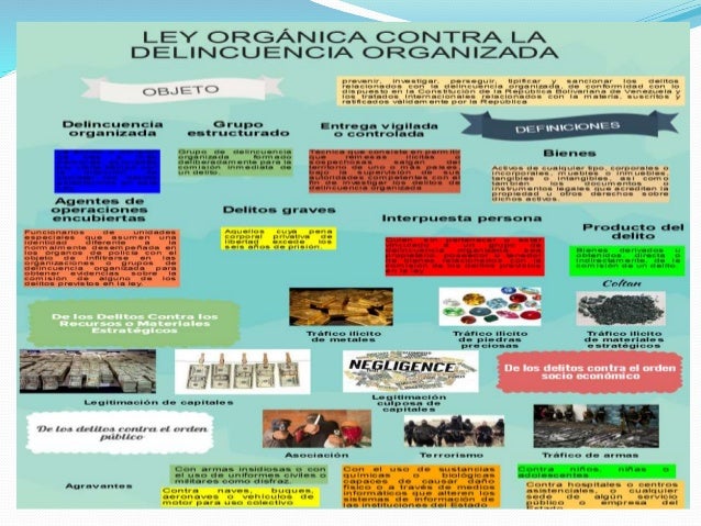 Infografia Ley Orgánica contra la delincuencia Organizada