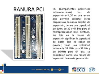 RANURA PCI PCI (Componentes periféricos
interconectados) bus de
expansión o SLOT, es una ranura
que permite conectar otros
dispositivos llamados tarjetas de
expansión, tienen una capacidad
de datos de 32 y 64 bits para el
microprocesador Intel Pentium,
los bits en la ranura de
expansión significan la capacidad
de datos que es capaz de
proveer, tiene una velocidad
interna de 33 MHz para 32 bits y
de 66MHz para 64 bits, se
consideran como una ranura de
expansión de cuarta generación.
 
