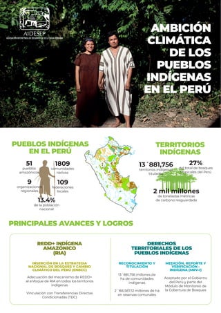 PRINCIPALES AVANCES Y LOGROS
DERECHOS
TERRITORIALES DE LOS
PUEBLOS INDÍGENAS
RECONOCIMIENTO Y
TITULACIÓN
13´881,756 millones de
ha de comunidades
indígenas
2´166,587,12 millones de ha
en reservas comunales
MEDICIÓN, REPORTE Y
VERIFICACIÓN -
INDÍGENA (MRV-I)
Aceptado por el Gobierno
del Perú y parte del
Módulo de Monitoreo de
la Cobertura de Bosques
REDD+ INDÍGENA
AMAZÓNICO
(RIA)
INSERCIÓN EN LA ESTRATEGIA
NACIONAL DE BOSQUES Y CAMBIO
CLIMÁTICO DEL PERÚ (ENBCC)
Adecuación del mecanismo de REDD+
al enfoque de RIA en todos los territorios
indígenas
Vinculación con Transferencias Directas
Condicionadas (TDC)
AMBICIÓN
CLIMÁTICA
DE LOS
PUEBLOS
INDÍGENAS
EN EL PERÚ
ASOCIACIÓN INTERÉTNICA DE DESARROLLO DE LA SELVA PERUANA
ASOCIACIÓN INTERÉTNICA DE DESARROLLO DE LA SELVA PERUANA
TERRITORIOS
INDÍGENAS
PUEBLOS INDÍGENAS
EN EL PERÚ
51
pueblos
amazónicos
1809
comunidades
nativas
109
federaciones
locales
9
organizaciones
regionales
13.4%
de la población
nacional
13´881,756
territorios indígenas
titulados
27%
del total de bosques
tropicales del Perú
2 mil millones
de toneladas métricas
de carbono resguardada
 