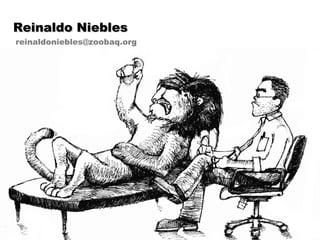 Reinaldo Niebles [email_address] 