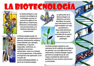 LA BIOTECNOLOGÍA
        La biotecnología es una                          La aplicación de la
        variante tecnológica de                          Biotecnología a la
         la biología, que por lo                         Medicina, permite
         general se aplica en la                        identificar los genes
        agricultura, la farmacia,                      que intervienen en las
        alimentos nutricionales,                       enfermedades con más
         ciencias forestales y la                           prevalencia y
         medicina alternativa y                         desarrollar fármacos
              convencional.                              que compensen la
                                                       actividad de los genes
  La biotecnología puede serser
     La biotecnología puede                              alterados en cada
  aplicada como complemento en en
     aplicada como complemento                               patología.
  diversos tratamientos médicos,
     diversos tratamientos médicos,
  desarrollando, por ejemplo,
     desarrollando, por ejemplo,
  antibióticos, o vacunas
     antibióticos, o vacunas
  mejoradas. Asimismo, es es
     mejoradas. Asimismo,                  La biotecnología vegetal es una
  utilizada en en procesos
     utilizada procesos                    extensión de la tradición de modificar
  industriales, como en endiseño
     industriales, como el el diseño       las plantas, con una diferencia muy
  de de microorganismos.beneficio
     microorganismos. El El beneficio      importante: la biotecnología vegetal
  principal de de esta aplicación, la la
     principal esta aplicación, es es      permite la transferencia de una
  creación de de
     creación                              mayor variedad de información
  productosbiodegradables, a a
     productosbiodegradables,              genética de una manera más precisa
  partir de de biotecnología.
     partir la la biotecnología.           y controlada.
 