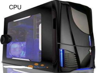 CPU 