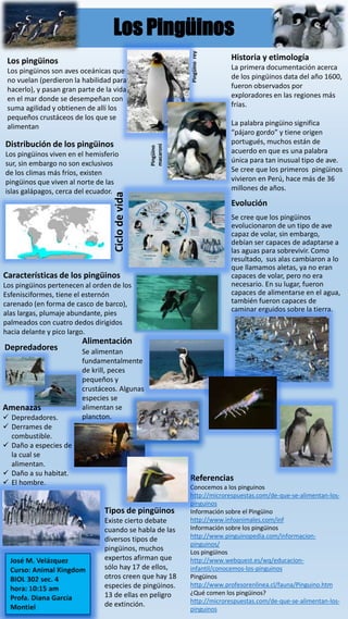 Evolución
Se cree que los pingüinos
evolucionaron de un tipo de ave
capaz de volar, sin embargo,
debían ser capaces de adaptarse a
las aguas para sobrevivir. Como
resultado, sus alas cambiaron a lo
que llamamos aletas, ya no eran
capaces de volar, pero no era
necesario. En su lugar, fueron
capaces de alimentarse en el agua,
también fueron capaces de
caminar erguidos sobre la tierra.
Los Pingüinos
Referencias
Conocemos a los pinguinos
http://microrespuestas.com/de-que-se-alimentan-los-
pinguinos
Información sobre el Pingüino
http://www.infoanimales.com/inf
Información sobre los pingüinos
http://www.pinguinopedia.com/informacion-
pinguinos/
Los pingüinos
http://www.webquest.es/wq/educacion-
infantil/conocemos-los-pinguinos
Pingüinos
http://www.profesorenlinea.cl/fauna/Pinguino.htm
¿Qué comen los pingüinos?
http://microrespuestas.com/de-que-se-alimentan-los-
pinguinos
Historia y etimología
La primera documentación acerca
de los pingüinos data del año 1600,
fueron observados por
exploradores en las regiones más
frías.
La palabra pingüino significa
“pájaro gordo” y tiene origen
portugués, muchos están de
acuerdo en que es una palabra
única para tan inusual tipo de ave.
Se cree que los primeros pingüinos
vivieron en Perú, hace más de 36
millones de años.
Distribución de los pingüinos
Los pingüinos viven en el hemisferio
sur, sin embargo no son exclusivos
de los climas más fríos, existen
pingüinos que viven al norte de las
islas galápagos, cerca del ecuador.
Características de los pingüinos
Los pingüinos pertenecen al orden de los
Esfenisciformes, tiene el esternón
carenado (en forma de casco de barco),
alas largas, plumaje abundante, pies
palmeados con cuatro dedos dirigidos
hacia delante y pico largo.
Ciclodevida
Depredadores
Los pingüinos
Los pingüinos son aves oceánicas que
no vuelan (perdieron la habilidad para
hacerlo), y pasan gran parte de la vida
en el mar donde se desempeñan con
suma agilidad y obtienen de allí los
pequeños crustáceos de los que se
alimentan
Pingüinorey
Pingüino
macaroni
Alimentación
Se alimentan
fundamentalmente
de krill, peces
pequeños y
crustáceos. Algunas
especies se
alimentan se
plancton.
Amenazas
 Depredadores.
 Derrames de
combustible.
 Daño a especies de
la cual se
alimentan.
 Daño a su habitat.
 El hombre.
Tipos de pingüinos
Existe cierto debate
cuando se habla de las
diversos tipos de
pingüinos, muchos
expertos afirman que
sólo hay 17 de ellos,
otros creen que hay 18
especies de pingüinos.
13 de ellas en peligro
de extinción.
 