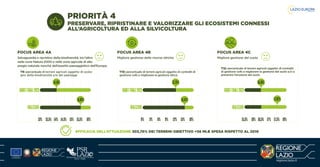 Infografica raa 2020 | PDF