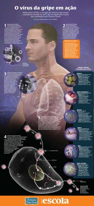 Infografico gripe | PDF