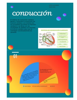 Infograma jhon