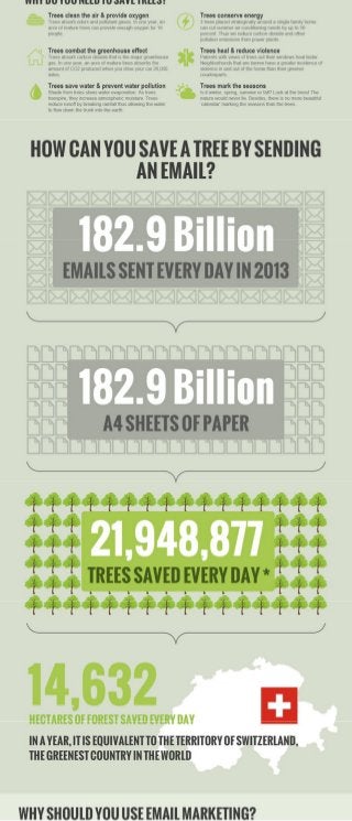 Save More Leaves with Email Marketing
