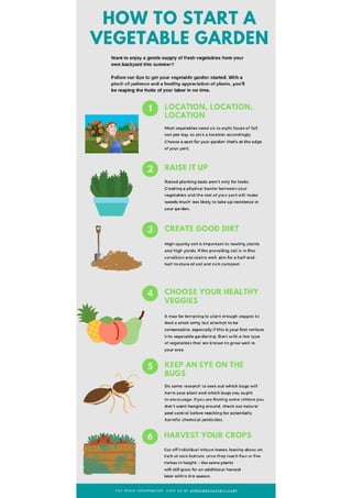 How to Start a Vegetable Garden - Olmsted's Nursery | PDF