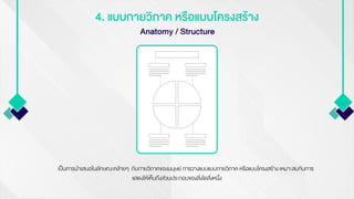 4. แบบกายวิภาค หรือแบบโครงสร้าง
Anatomy / Structure
เป็นการนาเสนอในลักษณะคล้ายๆ กับกายวิภาคของมนุษย์ การวางแบบแบบกายวิภาค หรือแบบโครงสร้าง เหมาะสมกับการ
แสดงให้เห็นถึงส่วนประกอบของสิ่งใดสิ่งหนึ่ง
 