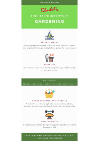 The Health benefits of Gardening