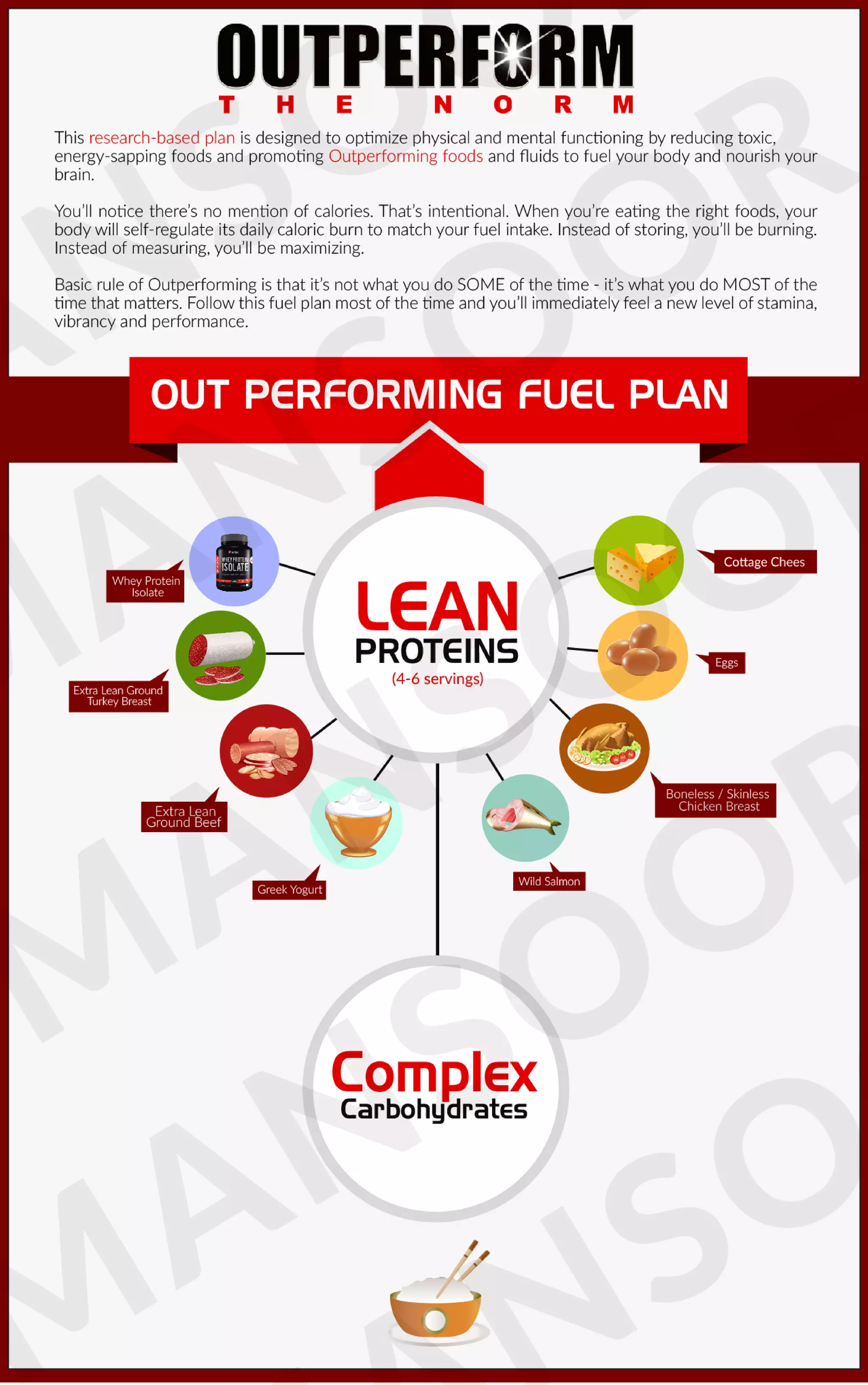 Infographic Catalog PDF