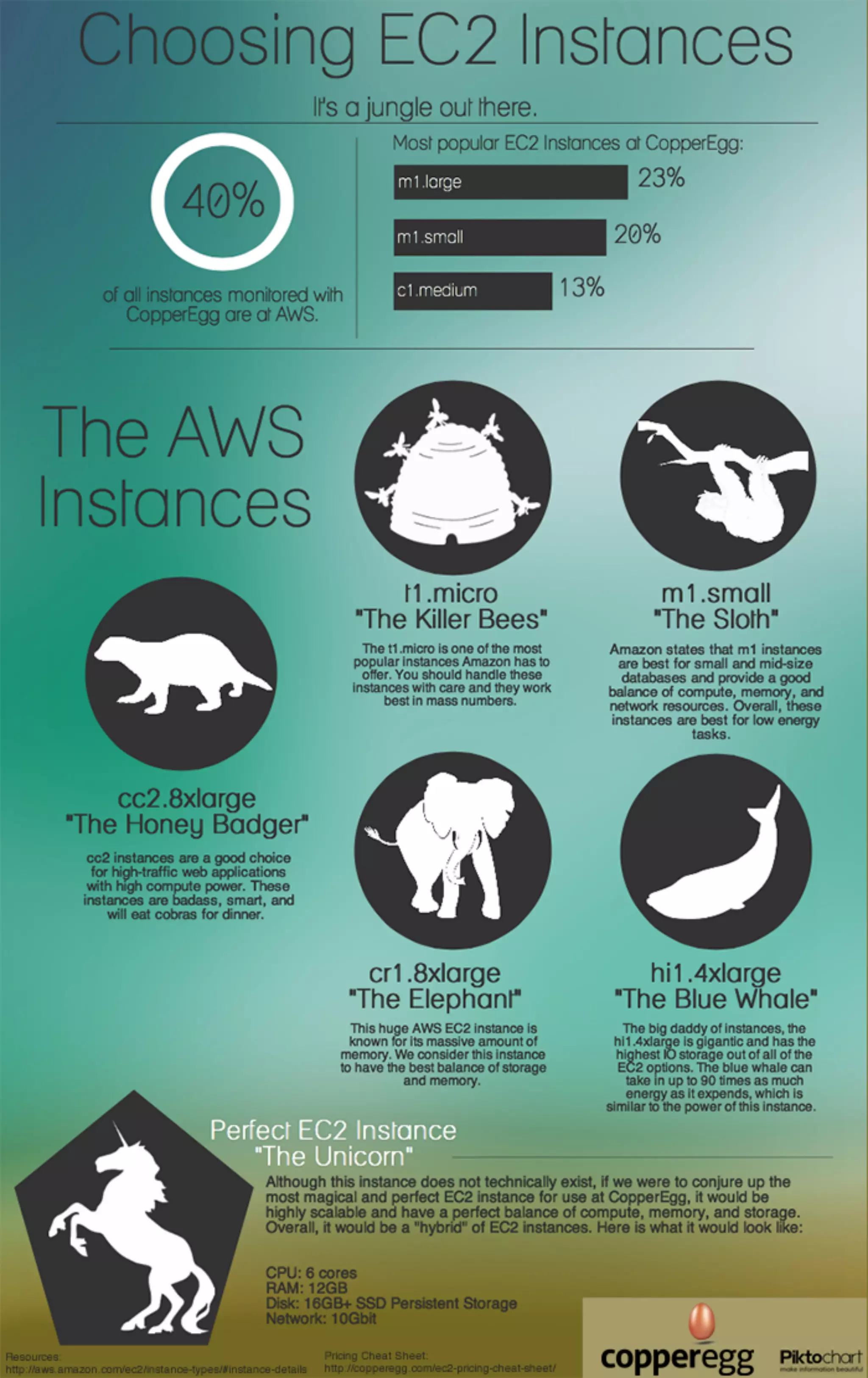 Infographic - Choosing EC2 Instances: Honey Badger or Sloth?