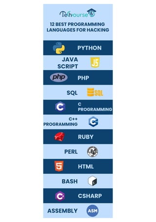 12 Best Programming Languages for Hacking