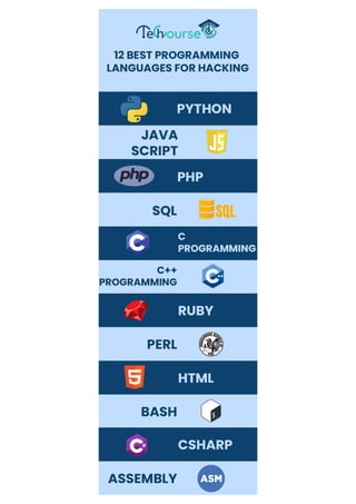 12 Best Programming Languages for Hacking | PDF