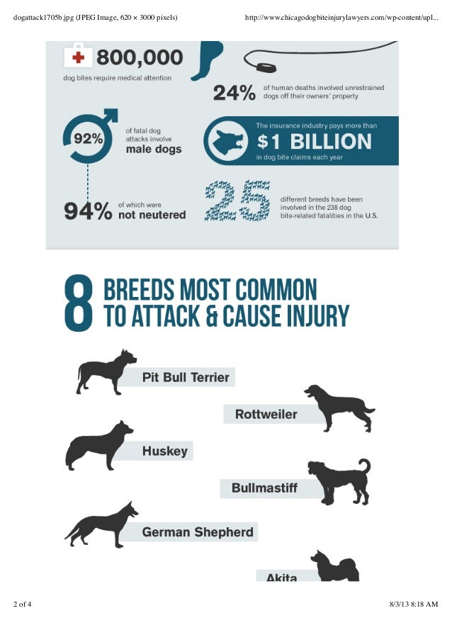 Dog Bite Lawyers Present Infographic For Victims Of Dog Attacks