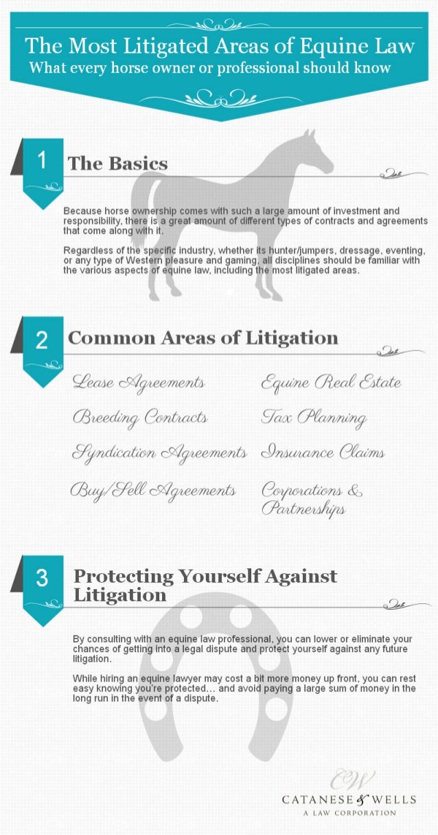 The Most Litigated Areas of Equine Law