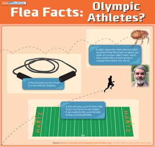 In 1967, researcher Henry Bennet-Clark
discovered that fleas have an elastic pad
made of a protein called resilin, which
they release like a tensed spring to
catapult themselves into the air.
Flea Facts: Olympic
Athletes?
Olympic
Athletes?
Source www.ca.uky.edu/entomology/entfacts/ef602.asp & Cambridge University Flea Jump Study
ULTRA GUARD
®
A flea can jump 30,000 times
in a row without stopping.
A flea can jump up to 8 inches high.
That is 150 times its own height.
If you could do this, you'd be able
to leap 2.5 football fields.
5 0
HARTZ
HARTZ
 