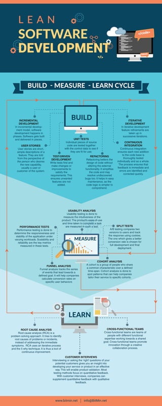 Software Engineering Infographic