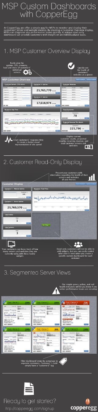 Infographic - Server and Website Performance Dashboards for MSPs and Their Customers