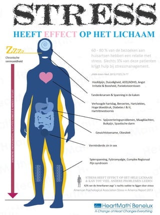 Infographic stress-affects nl