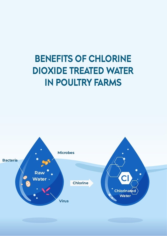 Chlorine
Raw
Water
Virus
Bacteria
Microbes
Cl
Chlorinated
Water
BENEFITS OF CHLORINE
DIOXIDE TREATED WATER
IN POULTRY FARMS
 