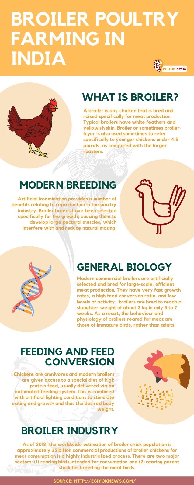 Broiler poultry farming in India Egiyok News